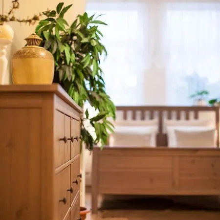 公寓 Lidia Duszniki Zdrój